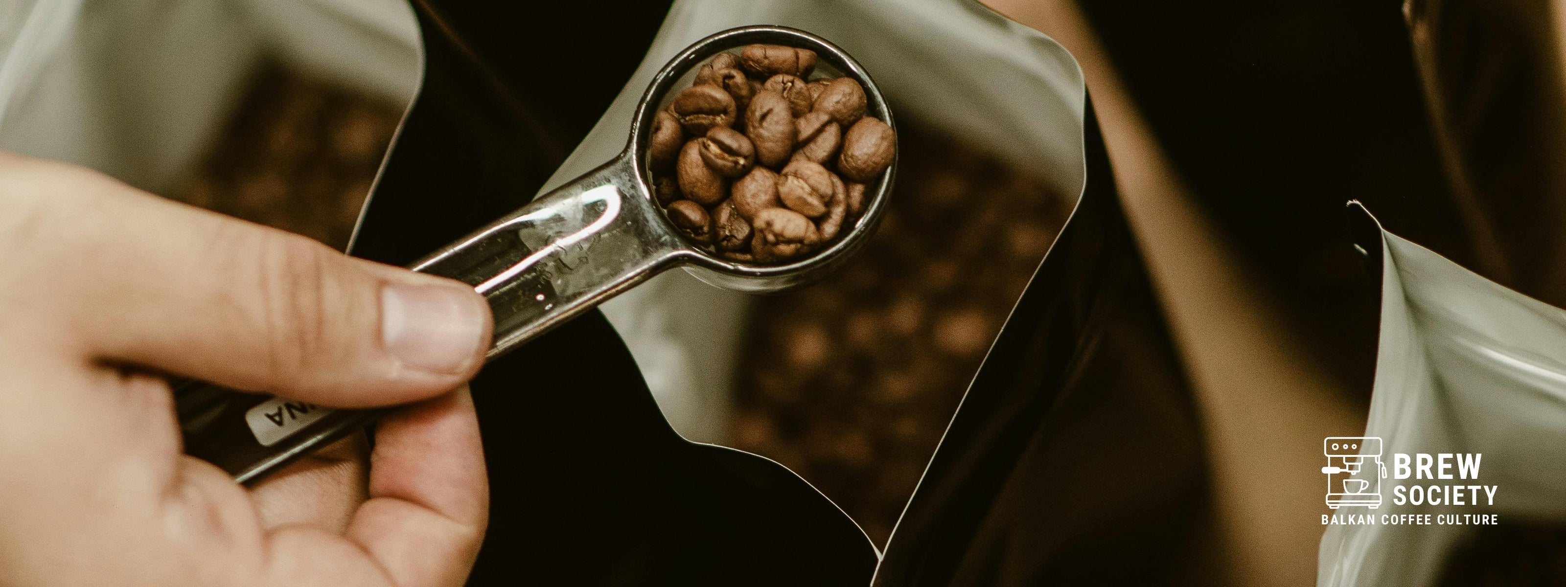 Arabika vs. Robusta: glavne razlike između dve najpopularnije sorte kafe - Brew Society